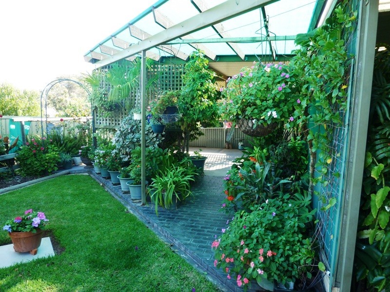 260 Alamein Avenue, Loxton North SA 5333