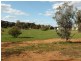 Lot 40 and 42 Badcoe Rd, Loxton SA 5333