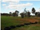 Lot 40 and 42 Badcoe Rd, Loxton SA 5333