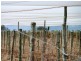 Allotment 2 Hd of Gordon, Loxton SA 5333