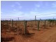Allotment 2 Hd of Gordon, Loxton SA 5333