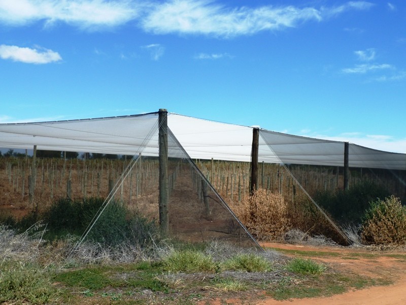 Allotment 2 Hd of Gordon, Loxton SA 5333