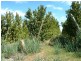 Allotment 2 Hd of Gordon, Loxton SA 5333