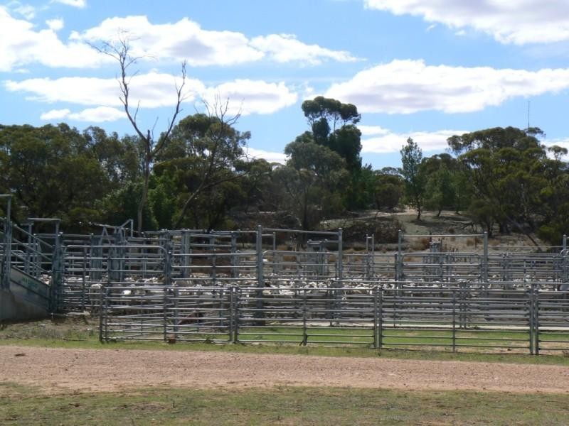 Section 33 , 39, 201, 203 and 27, 50 Hundred of Kingsford, Kringin SA 5304