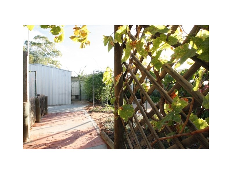 28 Hall Crescent, Loxton SA 5333