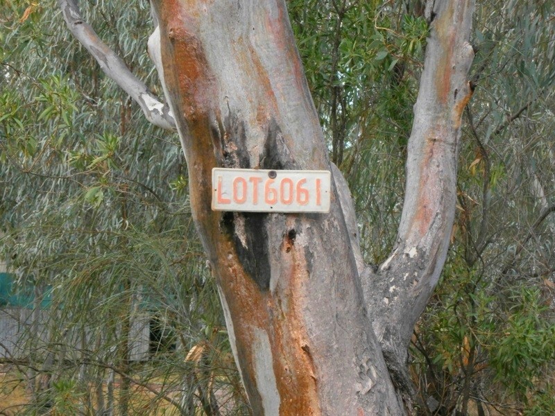 60 – 61 Brenda Park Road, Morgan SA 5320