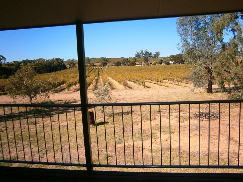 34 River Drive, Blanchetown SA 5357