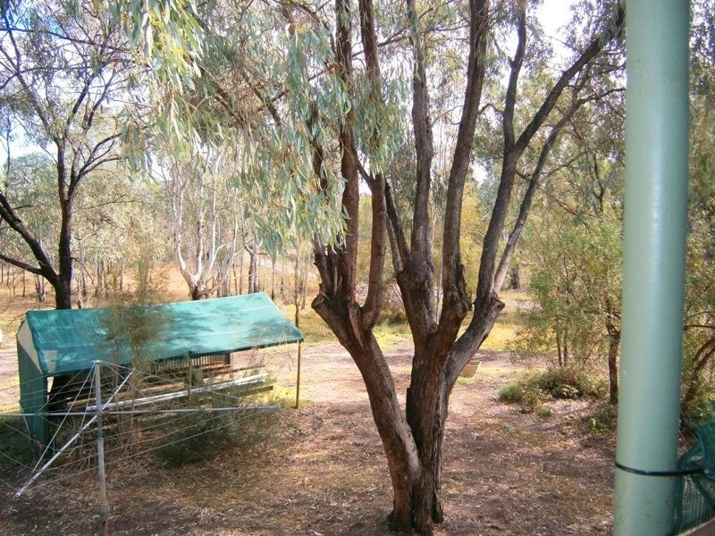 60 and 61 Brenda Park, Morgan SA 5320