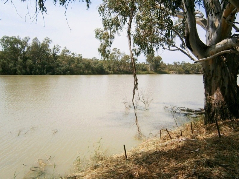 60 and 61 Brenda Park, Morgan SA 5320