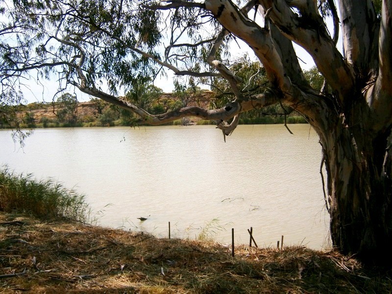 60 and 61 Brenda Park, Morgan SA 5320