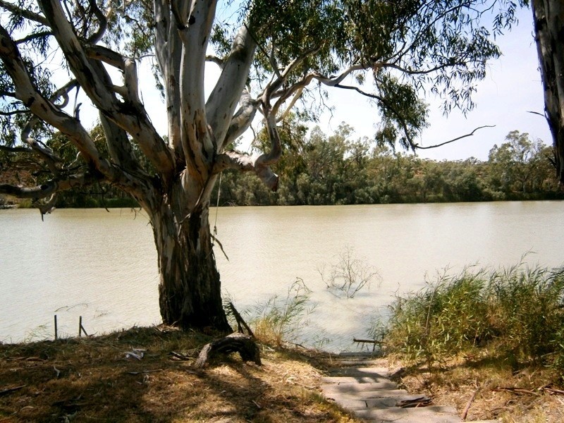 60 and 61 Brenda Park, Morgan SA 5320