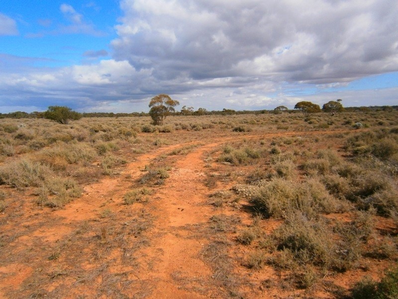Allotment 294 Hundred of Eba, Morgan SA 5320