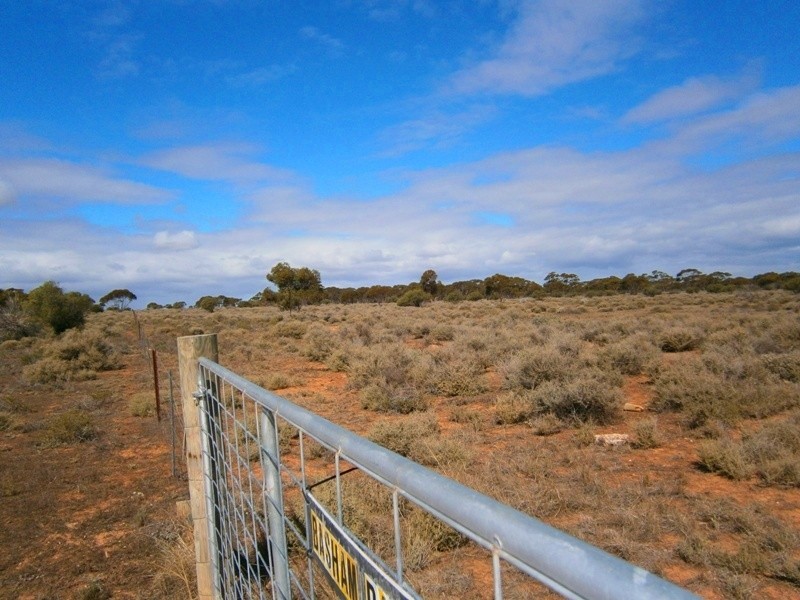 Allotment 294 Hundred of Eba, Morgan SA 5320