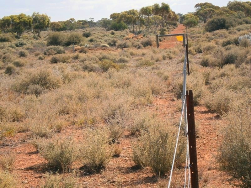 Allotment 294 Hundred of Eba, Morgan SA 5320