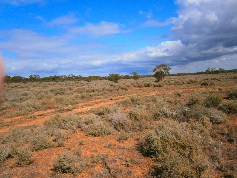 Allotment 294 Hundred of Eba, Morgan SA 5320