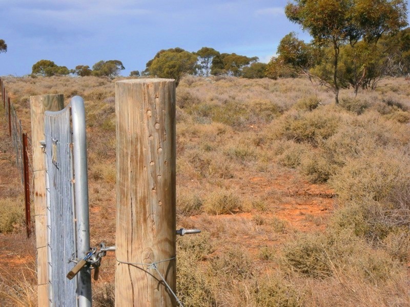 Allotment 294 Hundred of Eba, Morgan SA 5320