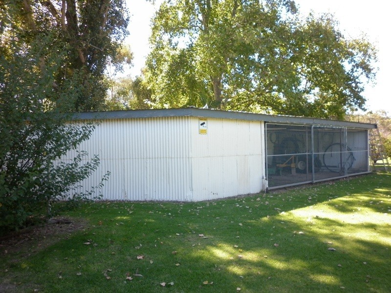 Lot 62 Evans Street, Renmark SA 5341