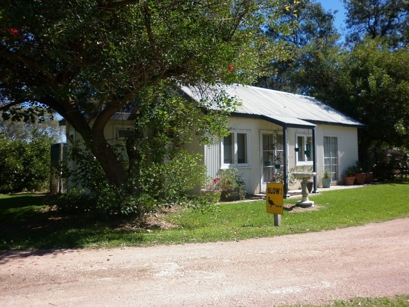 Lot 62 Evans Street, Renmark SA 5341