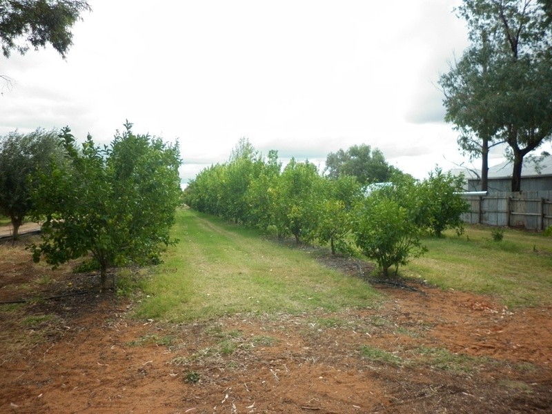 409 Kulkyne Street, Renmark SA 5341