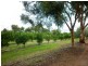 409 Kulkyne Street, Renmark SA 5341