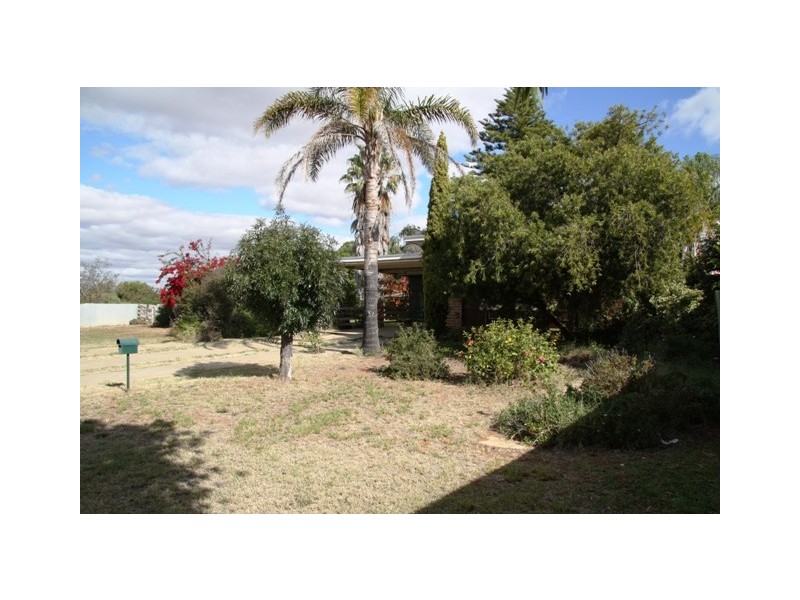 16 Laffer Street, Loxton SA 5333