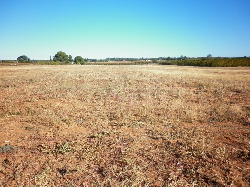 Lot 6 Chowilla Street, Renmark SA 5341