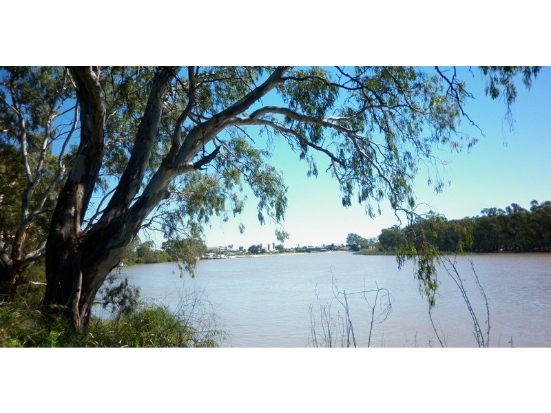 63, 64 and 65 Evans Street, Renmark SA 5341