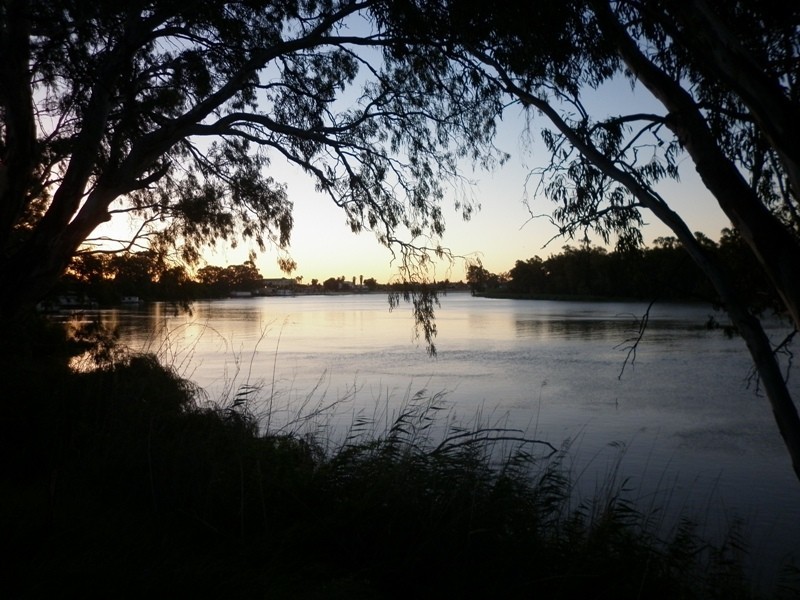 63, 64 and 65 Evans Street, Renmark SA 5341