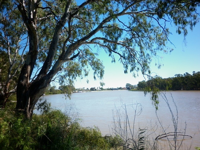 63, 64 and 65 Evans Street, Renmark SA 5341