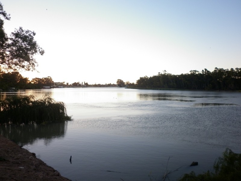 63, 64 and 65 Evans Street, Renmark SA 5341