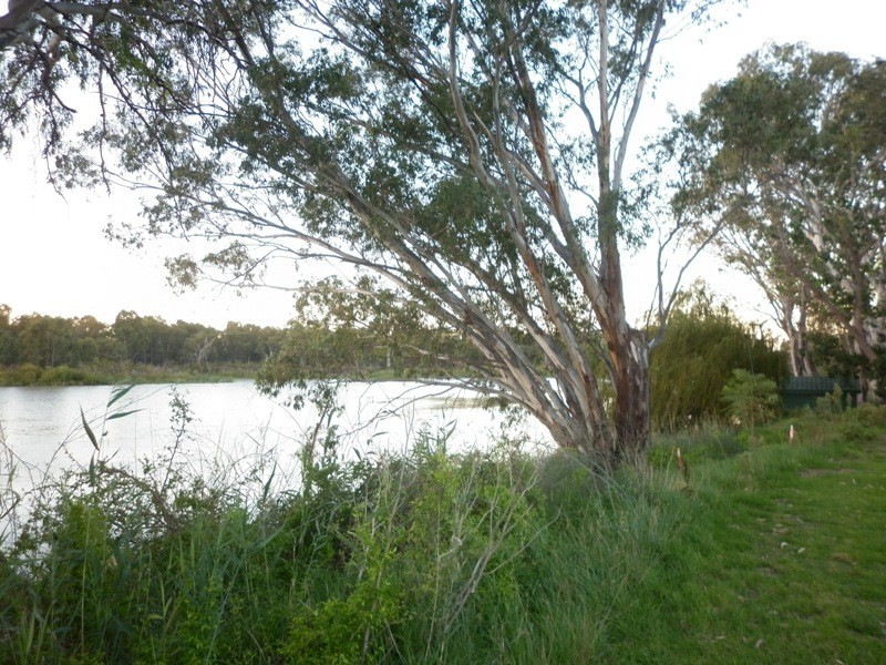 63, 64 and 65 Evans Street, Renmark SA 5341