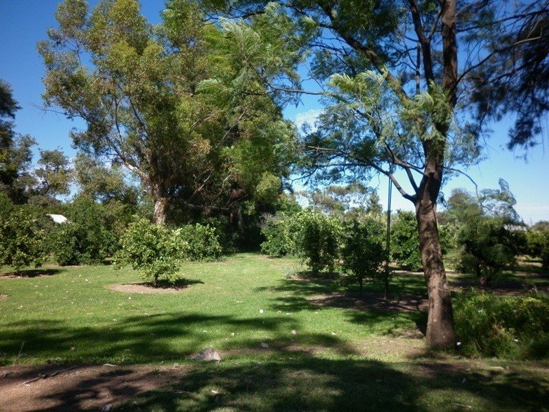 63, 64 and 65 Evans Street, Renmark SA 5341