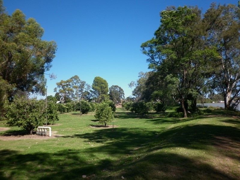 63, 64 and 65 Evans Street, Renmark SA 5341