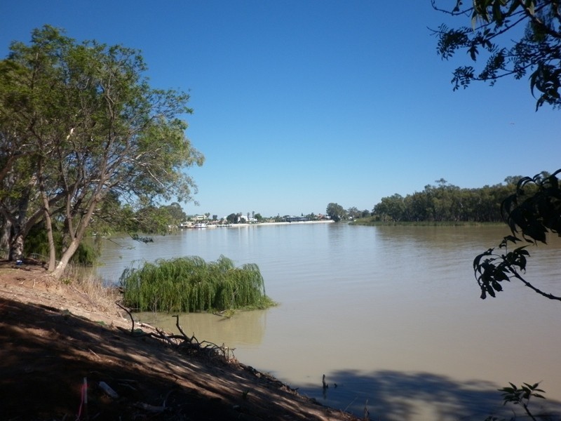 63, 64 and 65 Evans Street, Renmark SA 5341