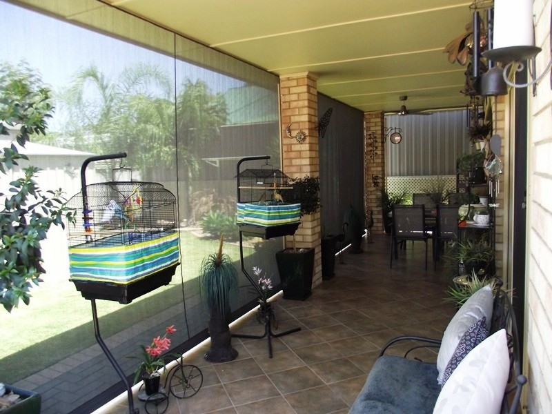 121 Kay Avenue, Berri SA 5343