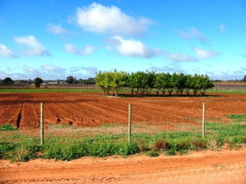 Lot 5 and 116 Government Road, Renmark SA 5341