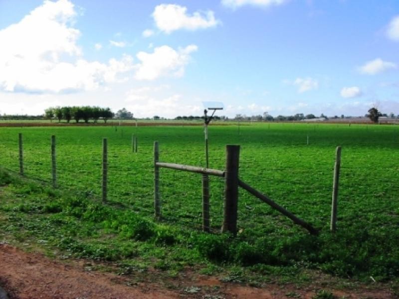 Lot 5 and 116 Government Road, Renmark SA 5341