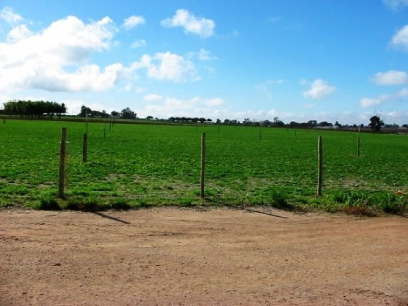 Lot 5 and 116 Government Road, Renmark SA 5341