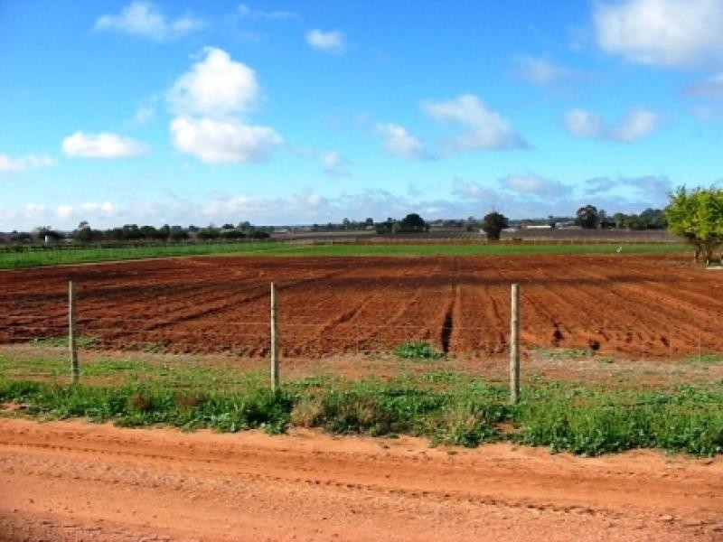 Lot 5 and 116 Government Road, Renmark SA 5341