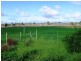 Lot 5 and 116 Government Road, Renmark SA 5341