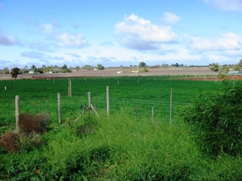 Lot 5 and 116 Government Road, Renmark SA 5341