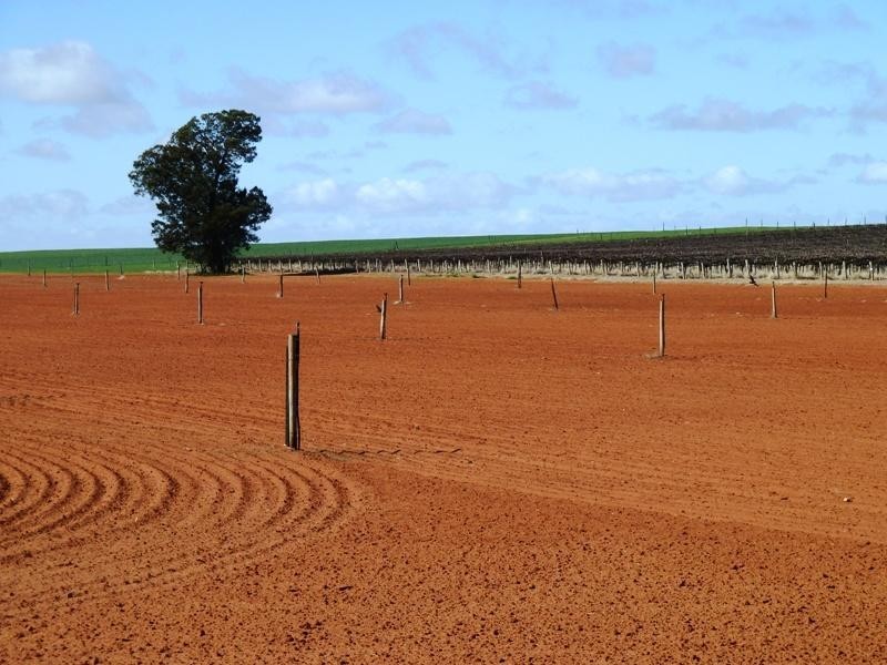 Section 38 Hundred of Gordon, Loxton North SA 5333