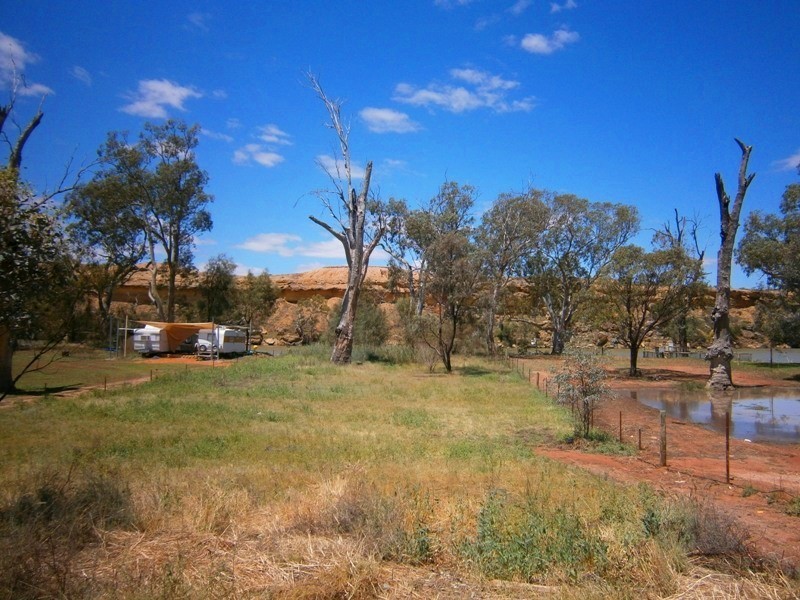 52 Pelican Point Road, Morgan SA 5320