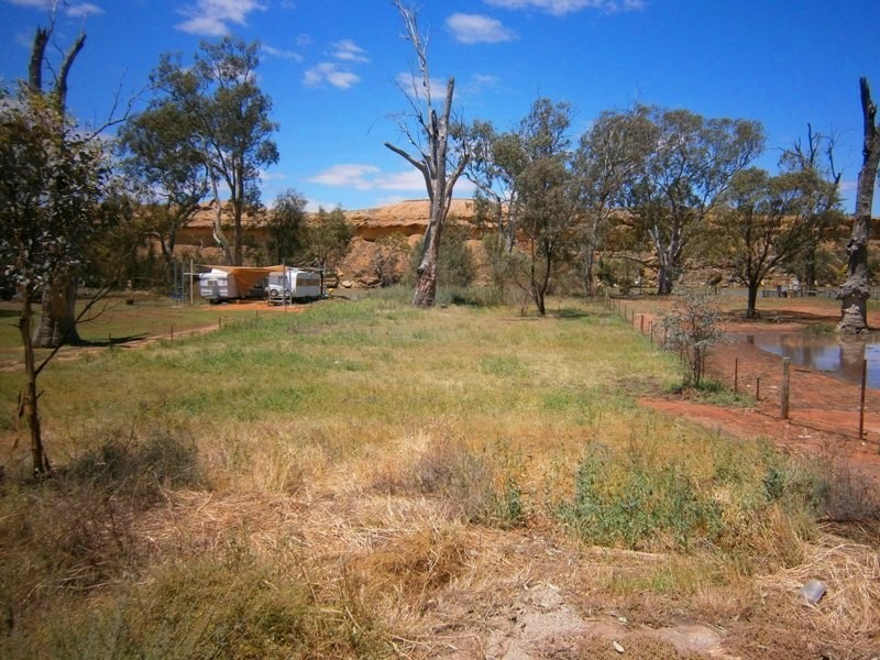52 Pelican Point Road, Morgan SA 5320