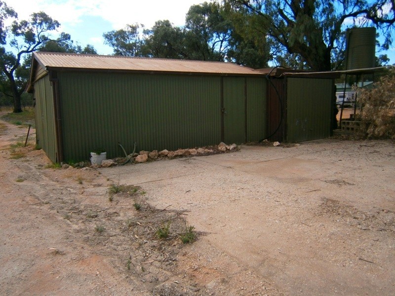 52 Pelican Point Road, Morgan SA 5320