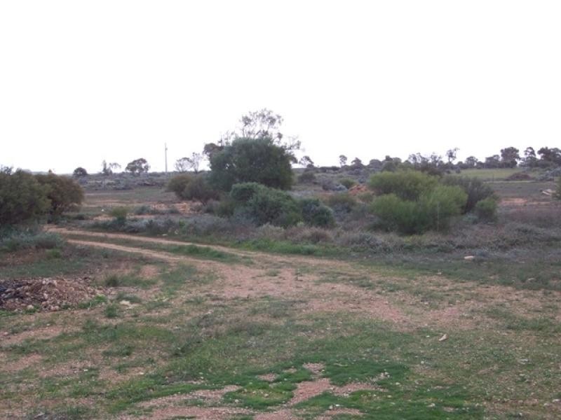 Section 76 Cemetery Road, Morgan SA 5320