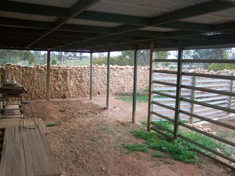 Section 76 Cemetery Road, Morgan SA 5320