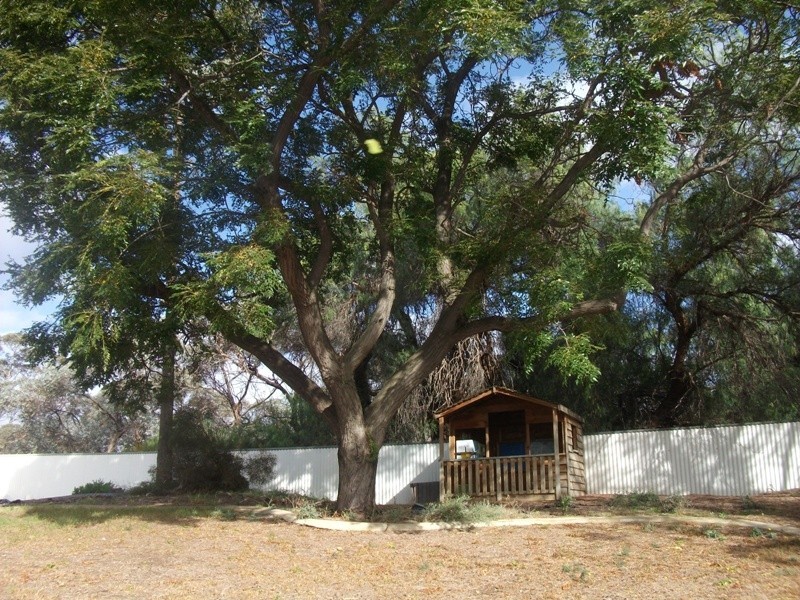 686 Kingston Road, Moorook SA 5332