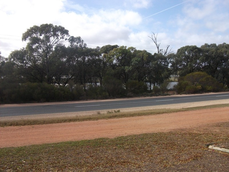 686 Kingston Road, Moorook SA 5332