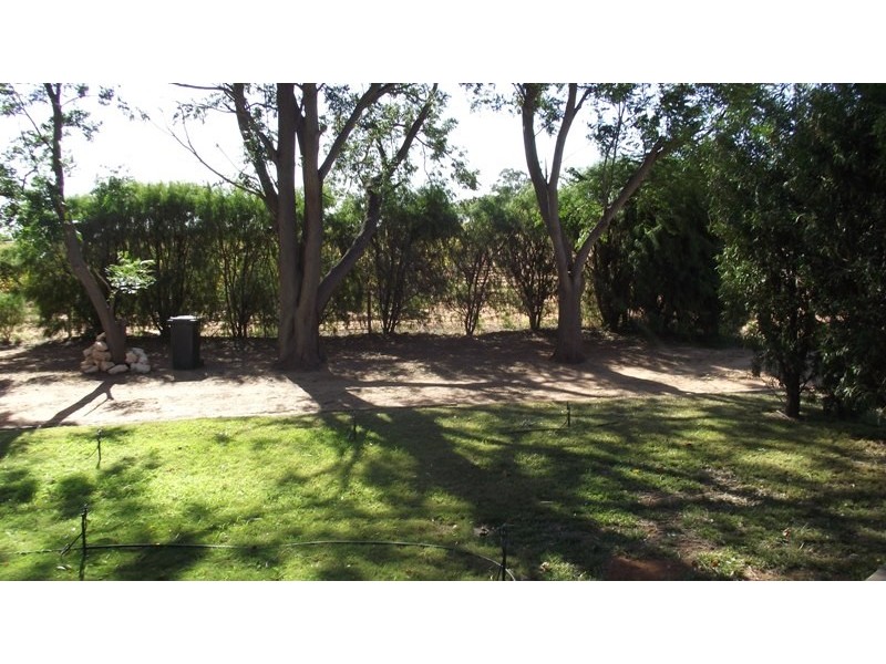 56 Yeo Road, Loveday SA 5345